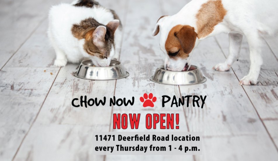 Chow Now Pantry open